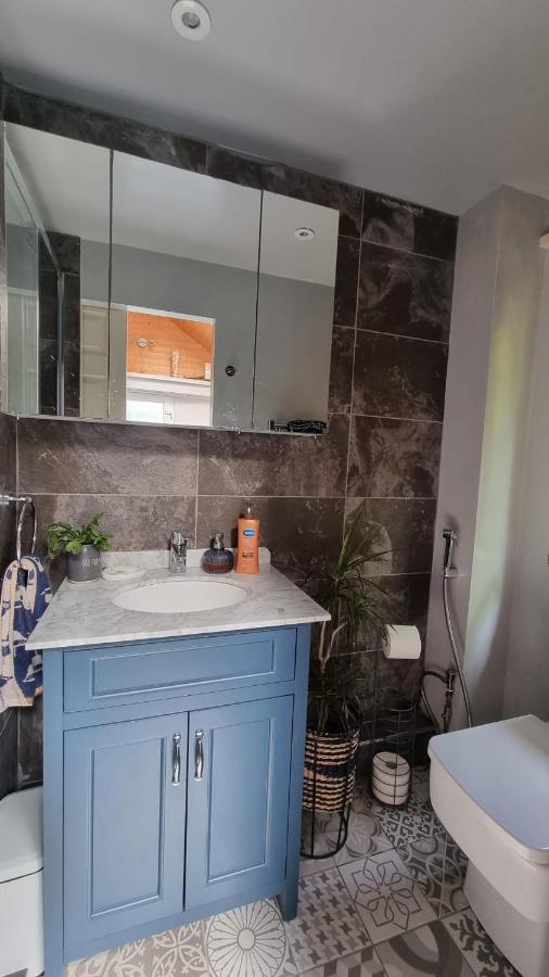 Bed and Breakfast Glebe House, Private Entrance, Free Parking On Drive, Self Check In, Netflix à Ashford  Extérieur photo