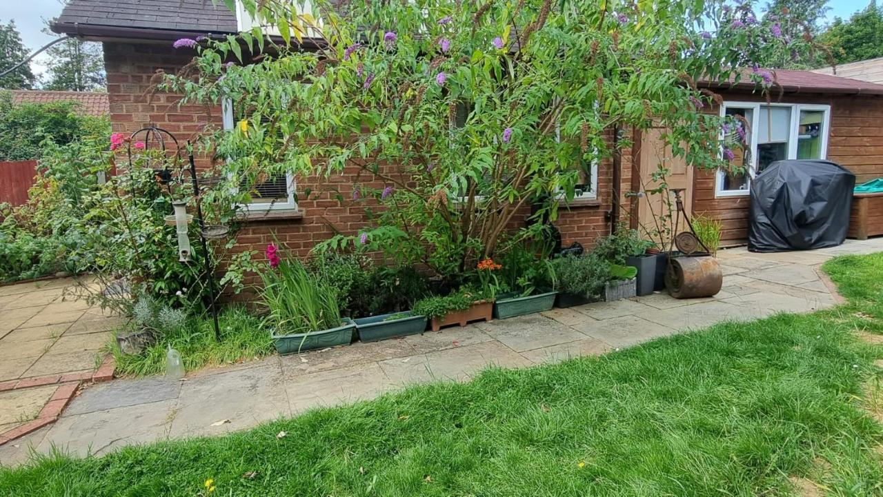 Bed and Breakfast Glebe House, Private Entrance, Free Parking On Drive, Self Check In, Netflix à Ashford  Extérieur photo